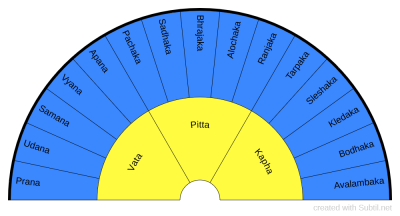 Dosha & Sub-dosha.png