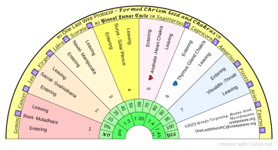 Tracking the Chrism Seed through the chakras